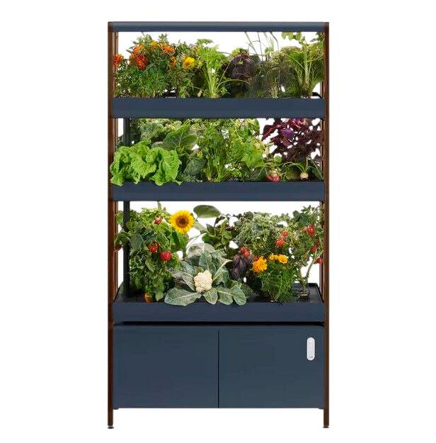 Triple Rise Garden Charcoal 2134758